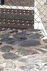 Public Pissing For Good-looking Black Haired Honey