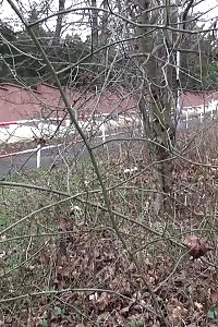 Pretty Girls Legs Pics