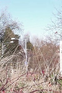 Siren In White Capri Panties Pisses Outside